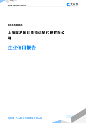上海耀沪国际货物运输代理企业信用报告（天眼查版）